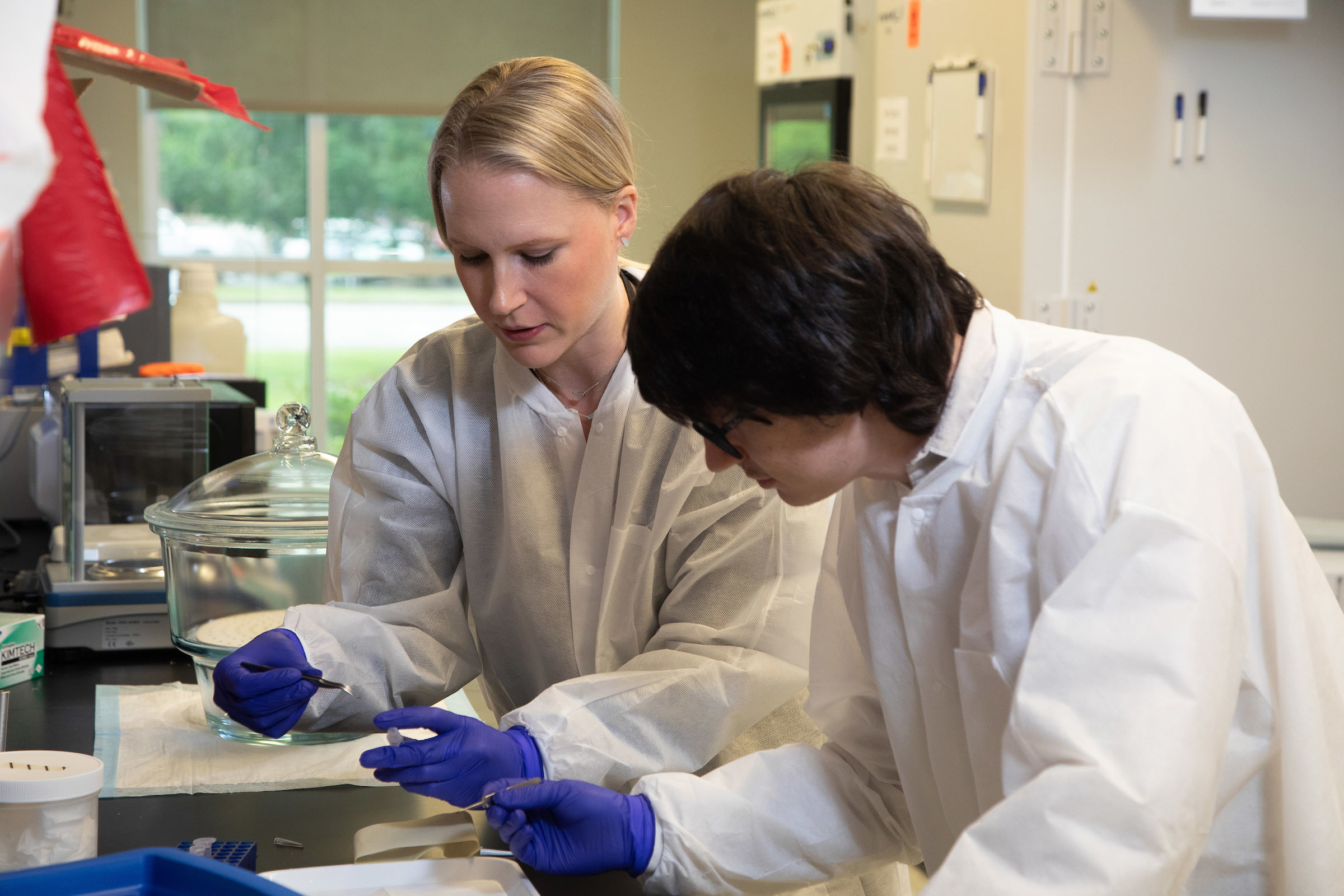 Meghan Hermance, Ph.D., conducts research on disease-spreading ticks