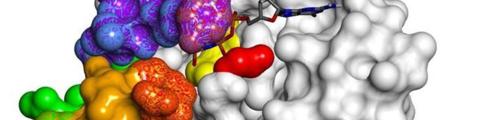 Ras-oncoprotein